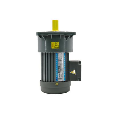 Totally Enclosed 2/1hp Gv22 Three Phase Gear Motors Vertical Mounted Gear Reducer